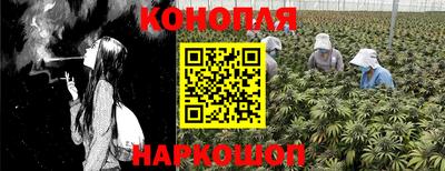 гашик Рязань
