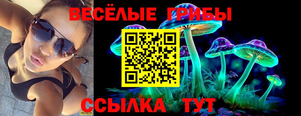 дарнет шоп  Псилоцибиновые грибы мухоморы  Вход с VPN  Новозыбков 