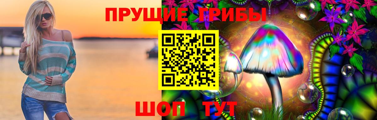 Псилоцибиновые грибы Magic Shrooms Новозыбков