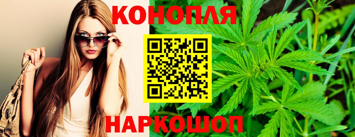 Новозыбков  Бошки марихуана сатива  Канабис сатива  Вход с VPN 